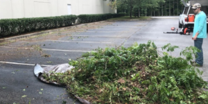 Commercial Lawn Mowing & Bush Trimming Fayetteville, GA