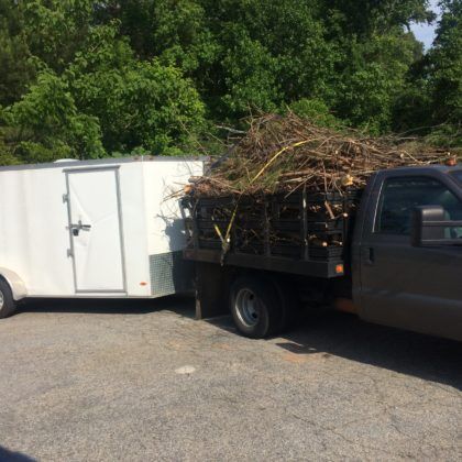 Stick & Branch Removal Fayetteville, GA