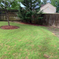 Before Photos