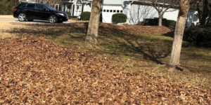 Leaf Blowing & Removal in Fayetteville, GA