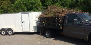 Stick & Branch Removal Fayetteville, GA