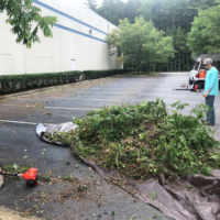 commercial-sized-lawn-mowing-bush-trimming-fayetteville-ga