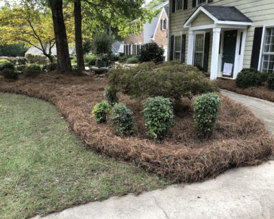 pine-straw-installation-fayetteville-ga